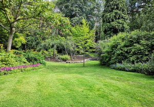 Optimiser l'expérience du jardin à Prompsat